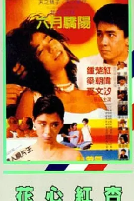 国内免费一级视频