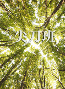 秋霞伊人网